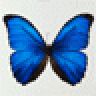[...becc...]